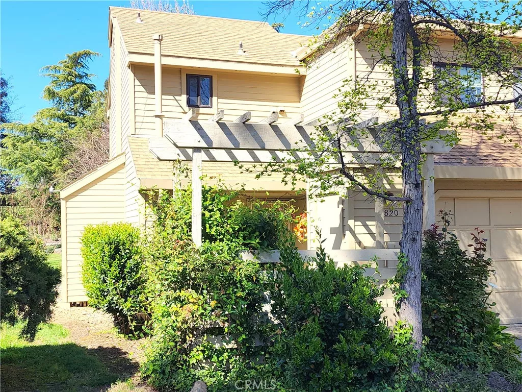 Main Image
