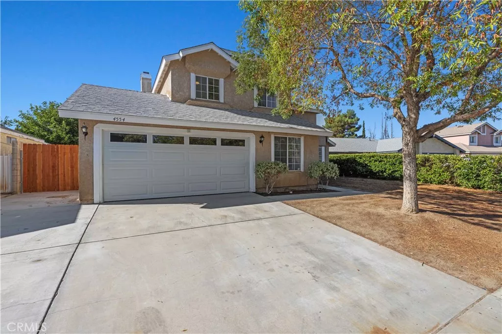 Main Image