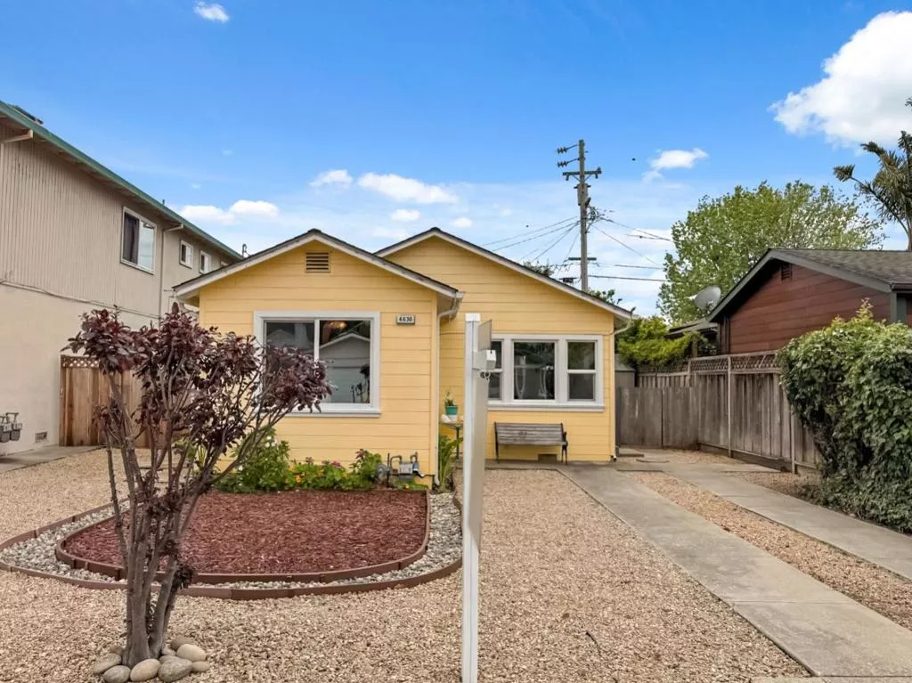 Main Image