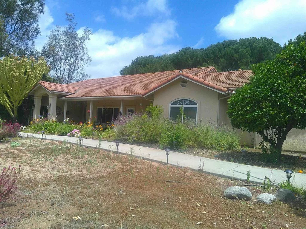 Main Image