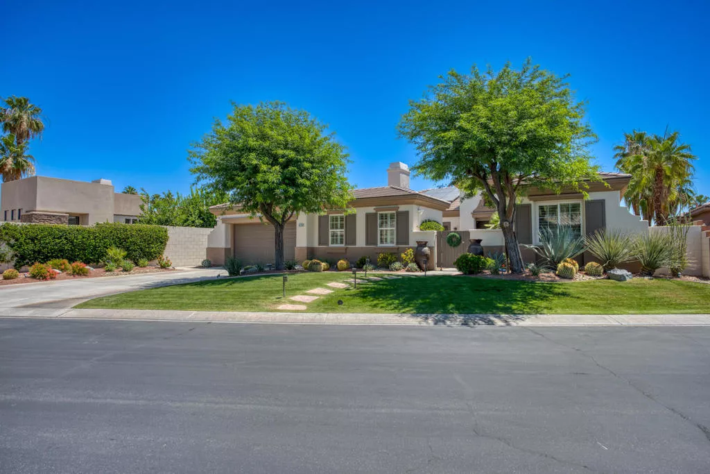 Main Image