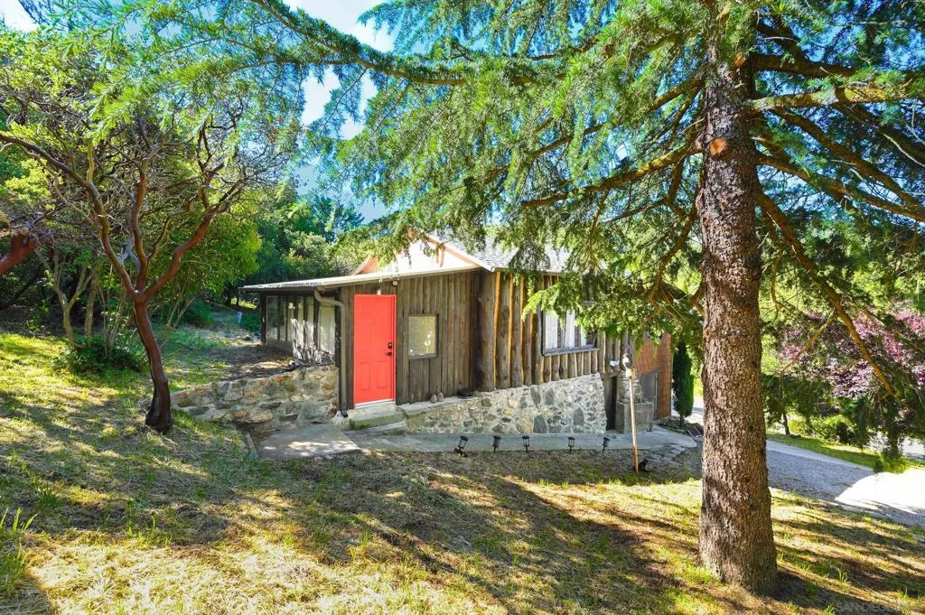 Main Image