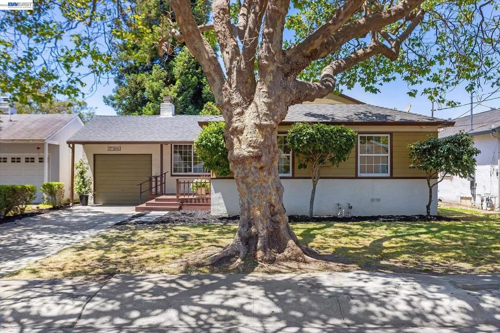 Main Image