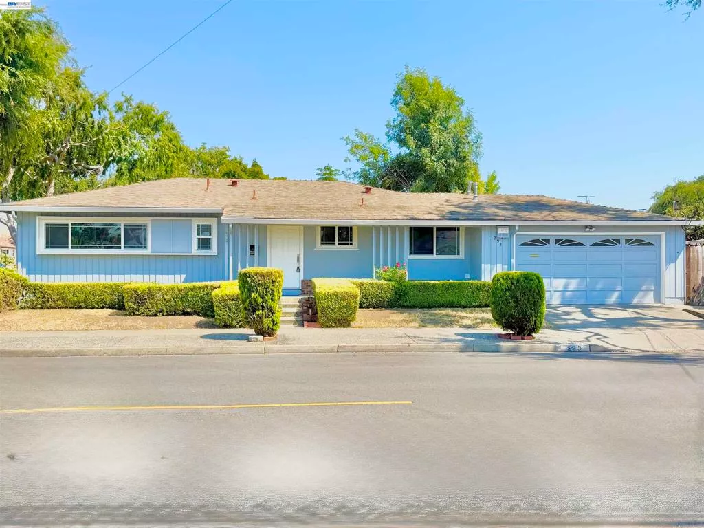 Main Image