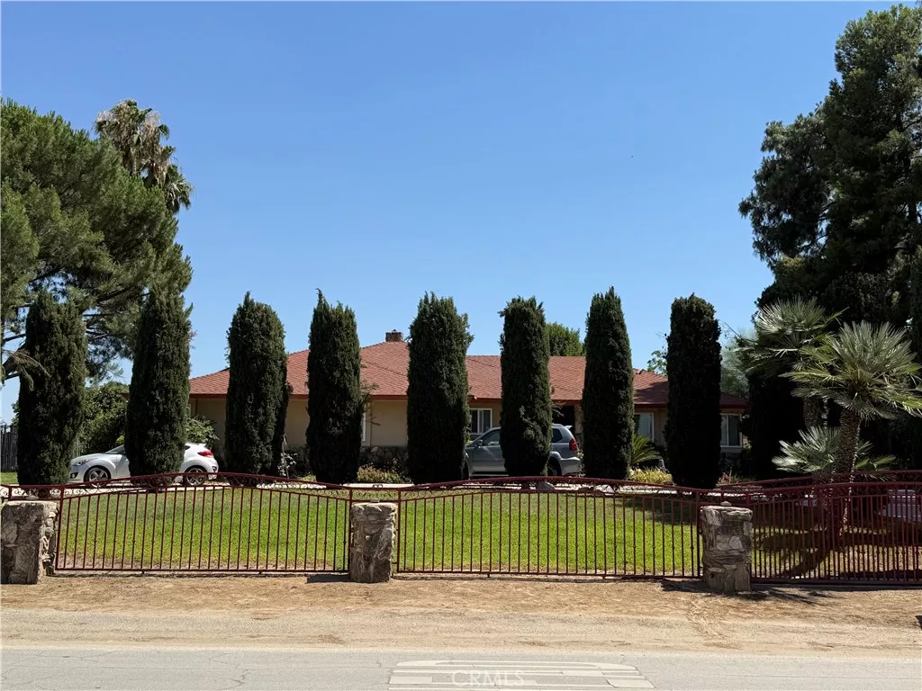 Main Image