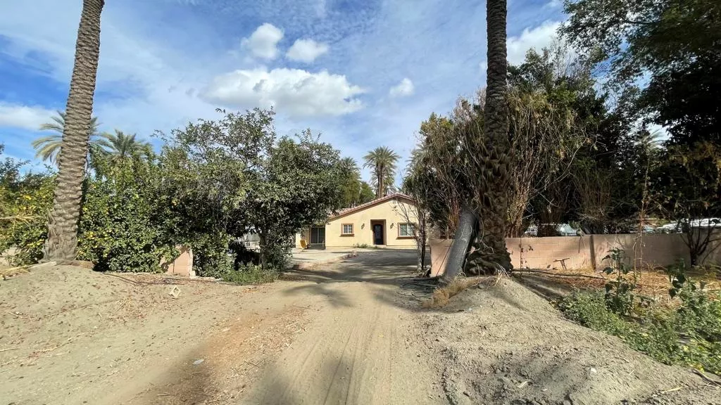 Main Image