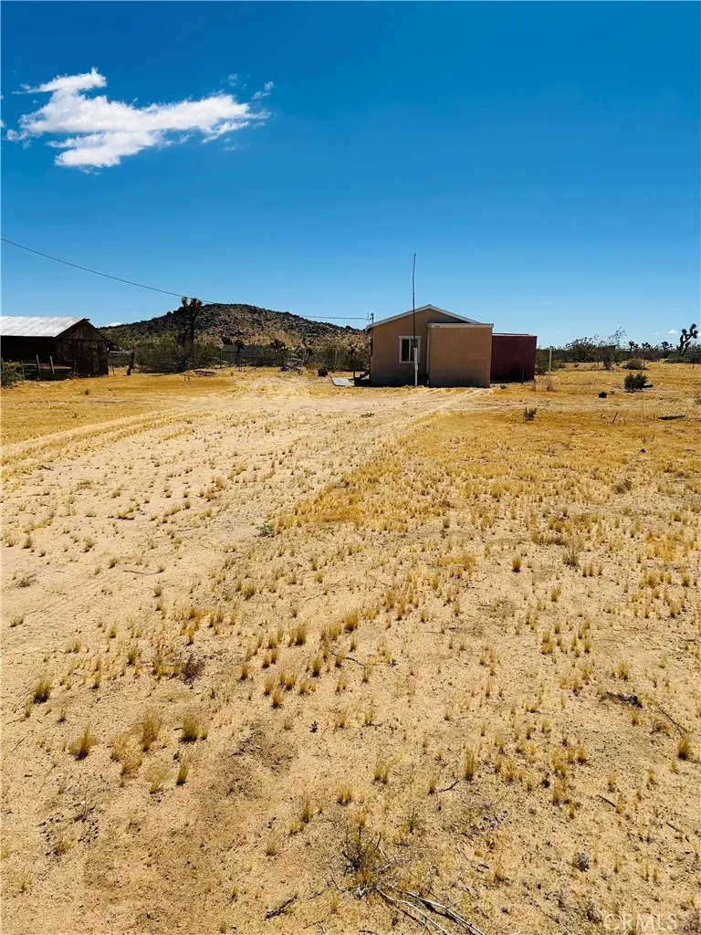 Main Image