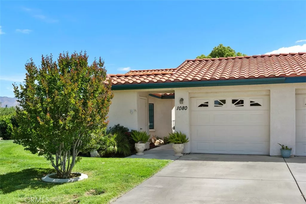 Main Image
