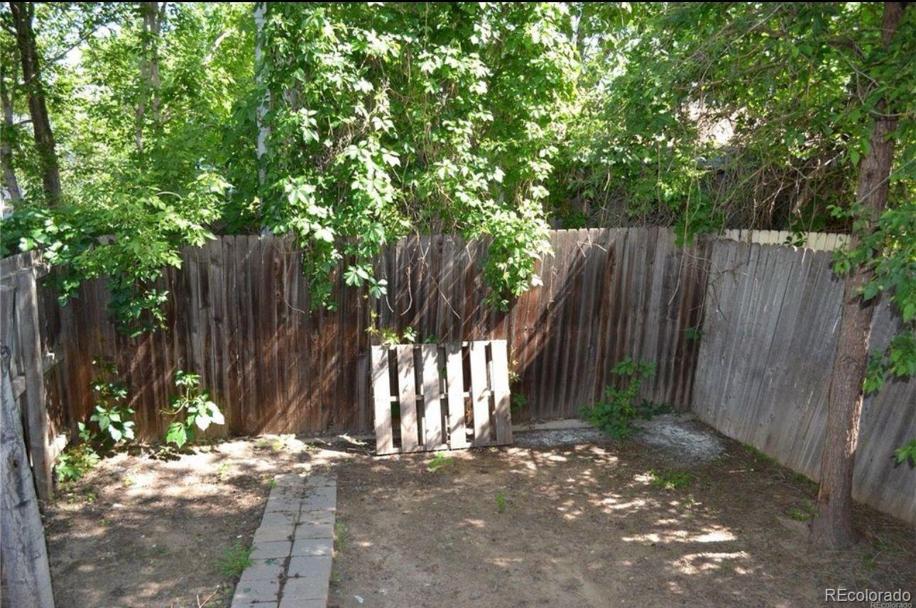 Fenced Back Yard