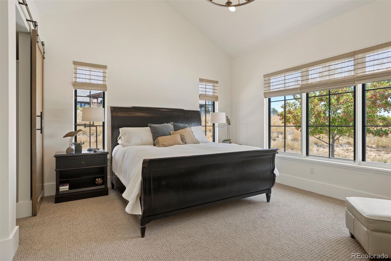 Guest bedroom with walk-in closet.