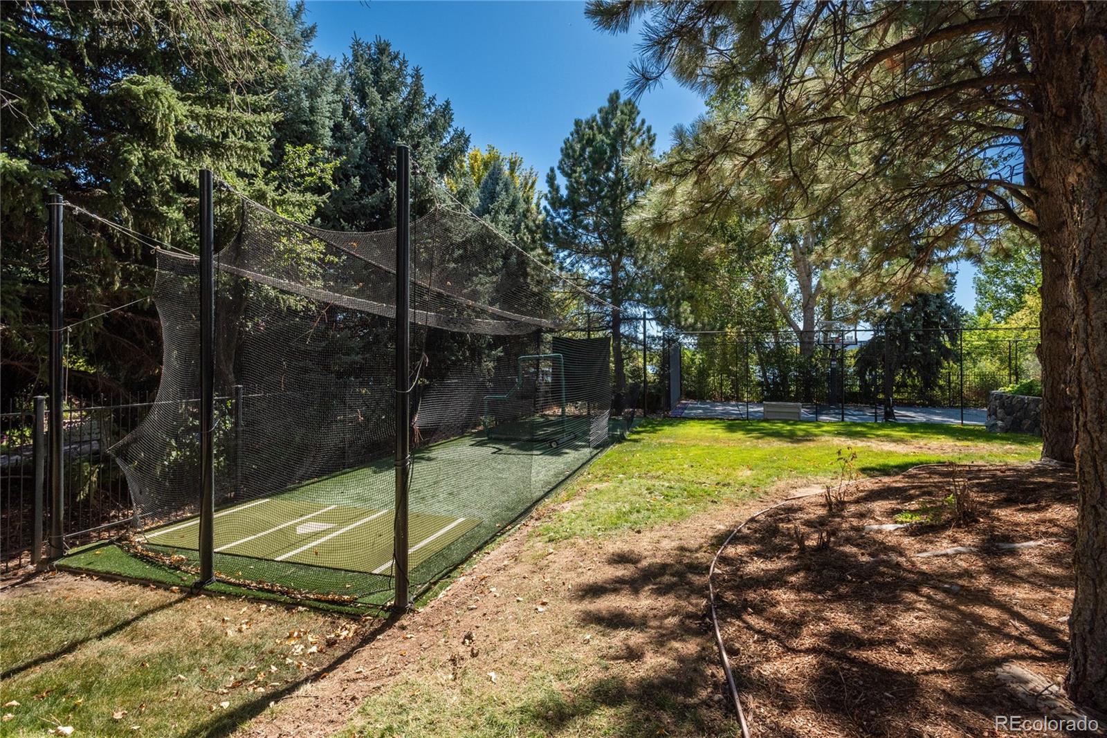 Batting cage in private yard.