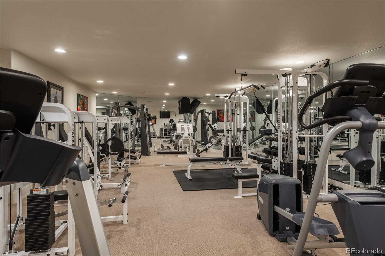 Huge professional gym.