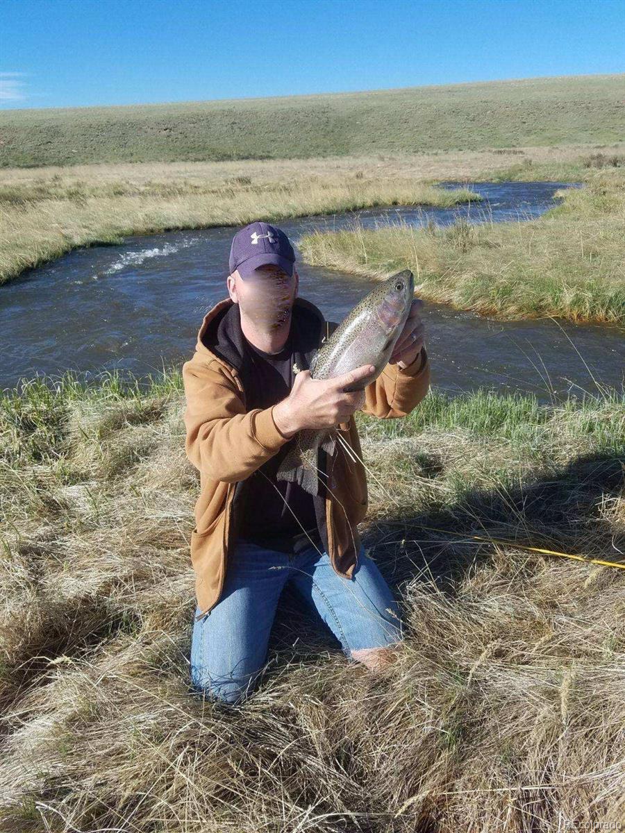 Caught rainbow trout