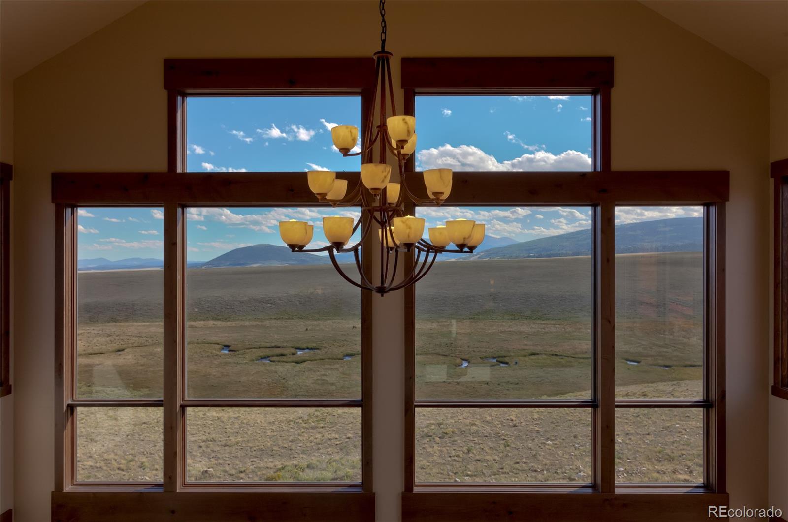 Elk herd on ranch