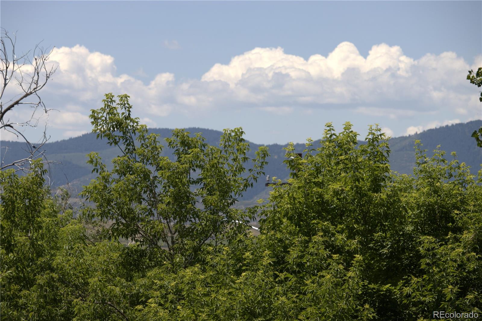 Lovely Mountain Views from the many decks.