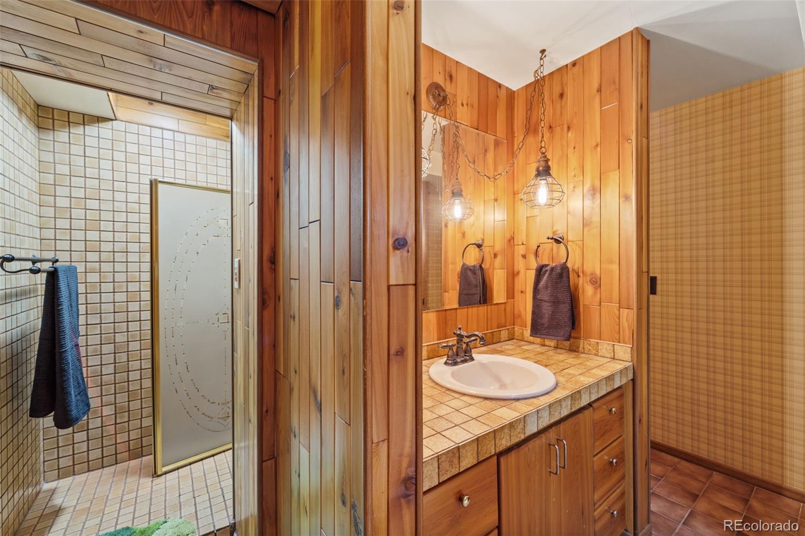 Basement Bathroom (Shower in the Back)