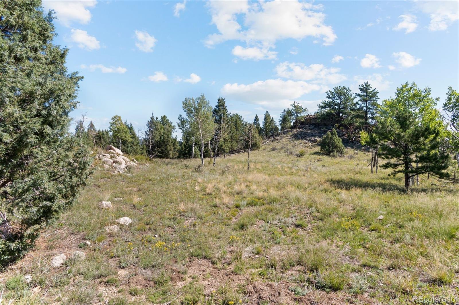 Current flat section near the house.