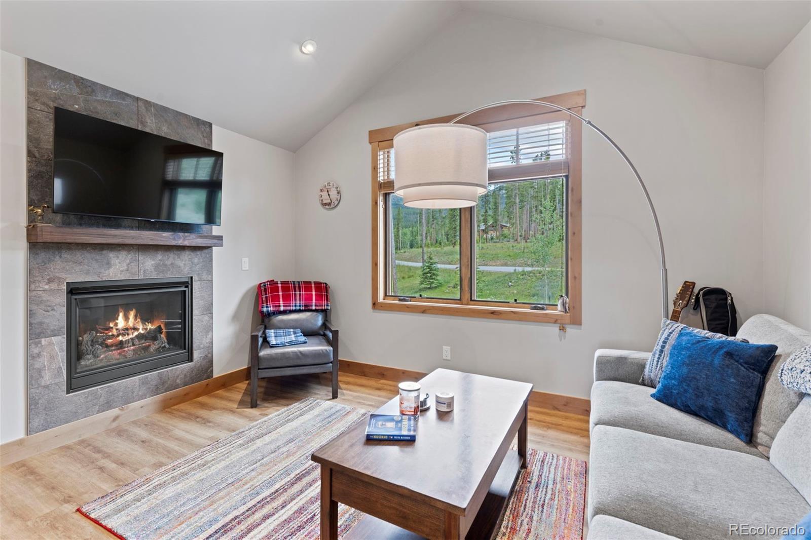 Apartment living room with mountain views