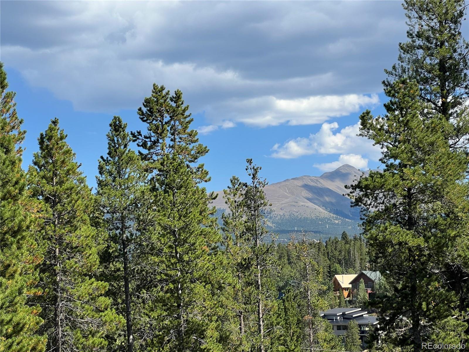 Summer view from the dining room windows. Snow-capped mountains in the winter.