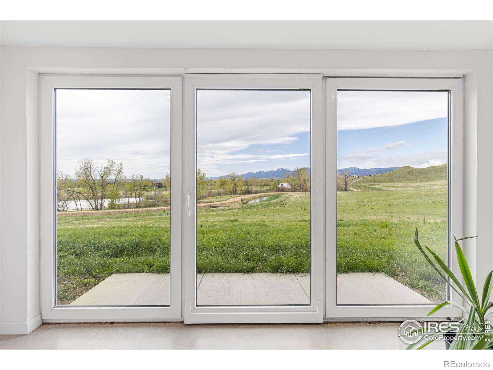 Oversized Window Doors Look South Over the Property