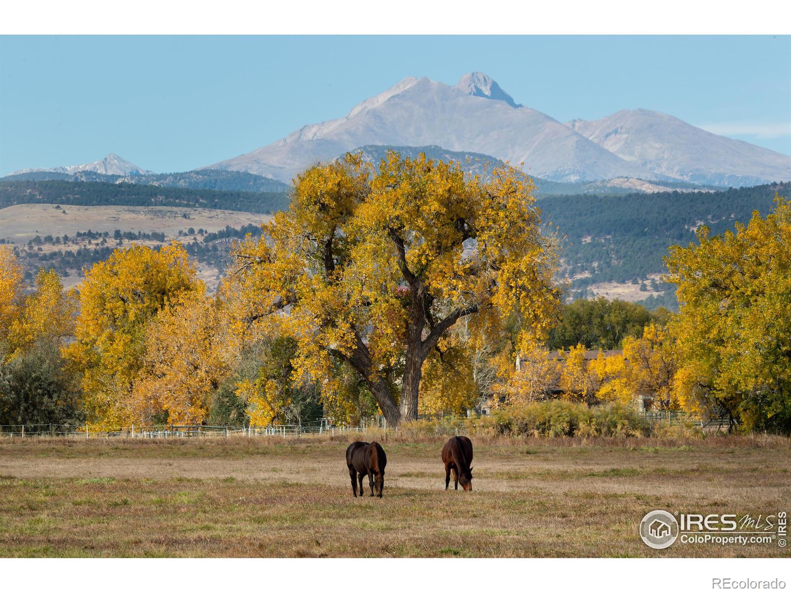 Protected by Boulder County Conservation easements to the north and private farmland to the west creating a serene refuge just a few minutes from the charming town of Hygiene and 20 minutes to Boulder