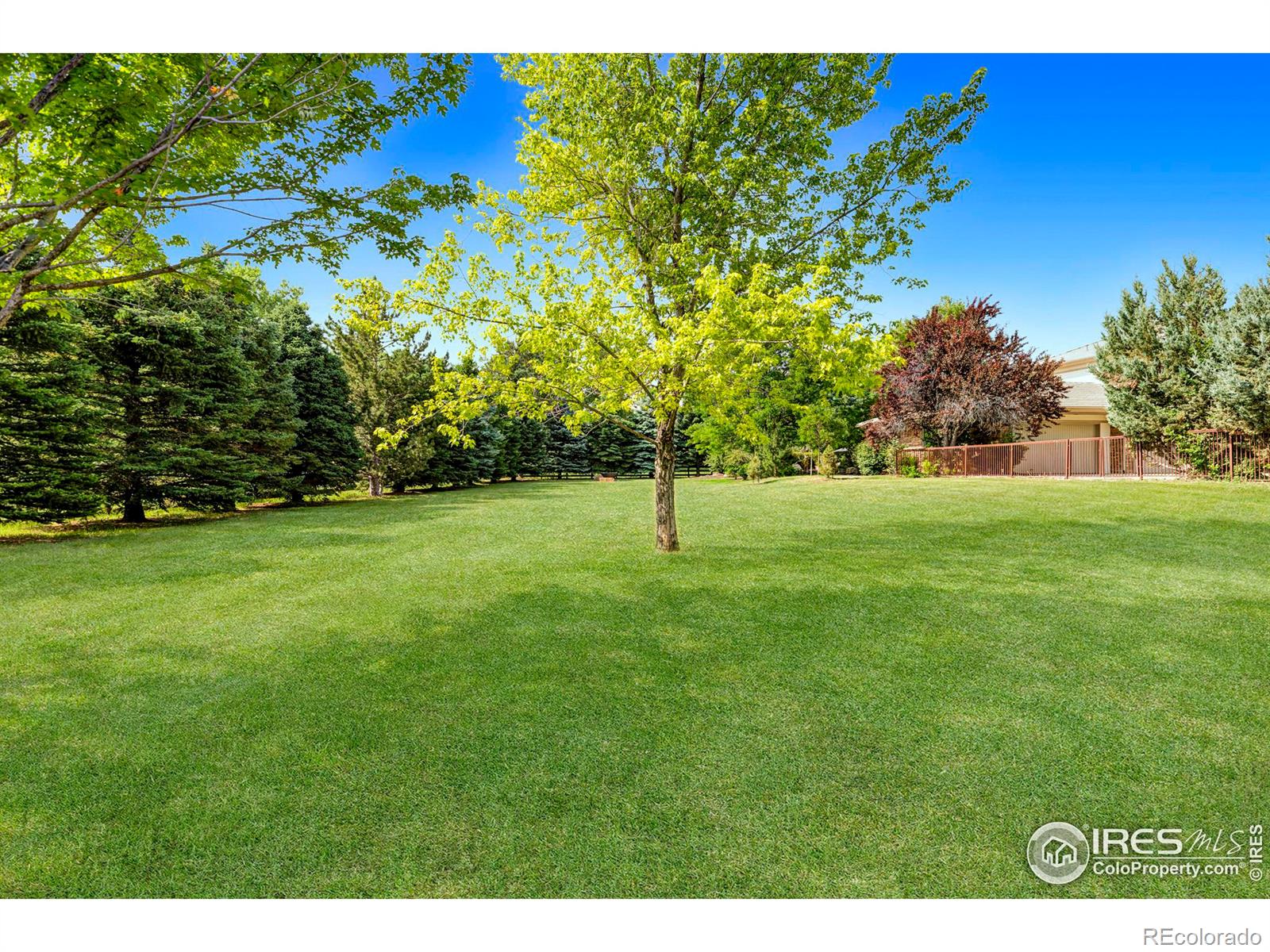 Large grassy yard.