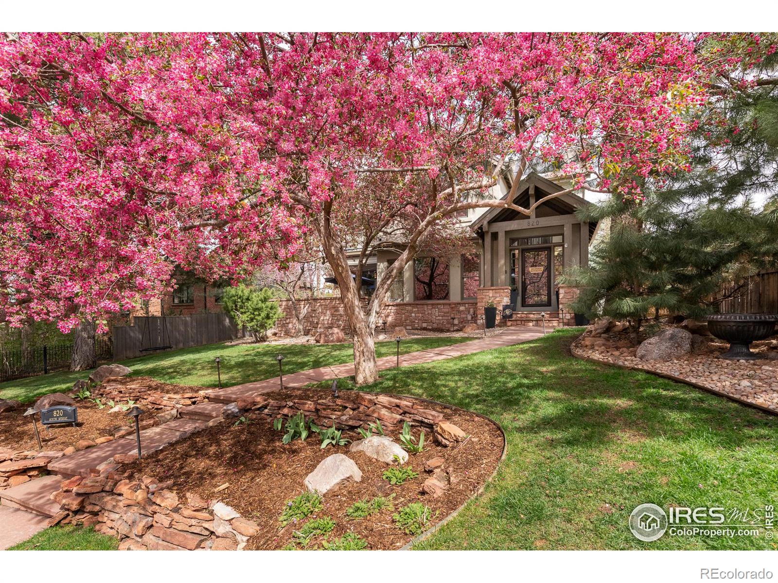 The seasonal Spring bloom creating a gorgeous front yard.