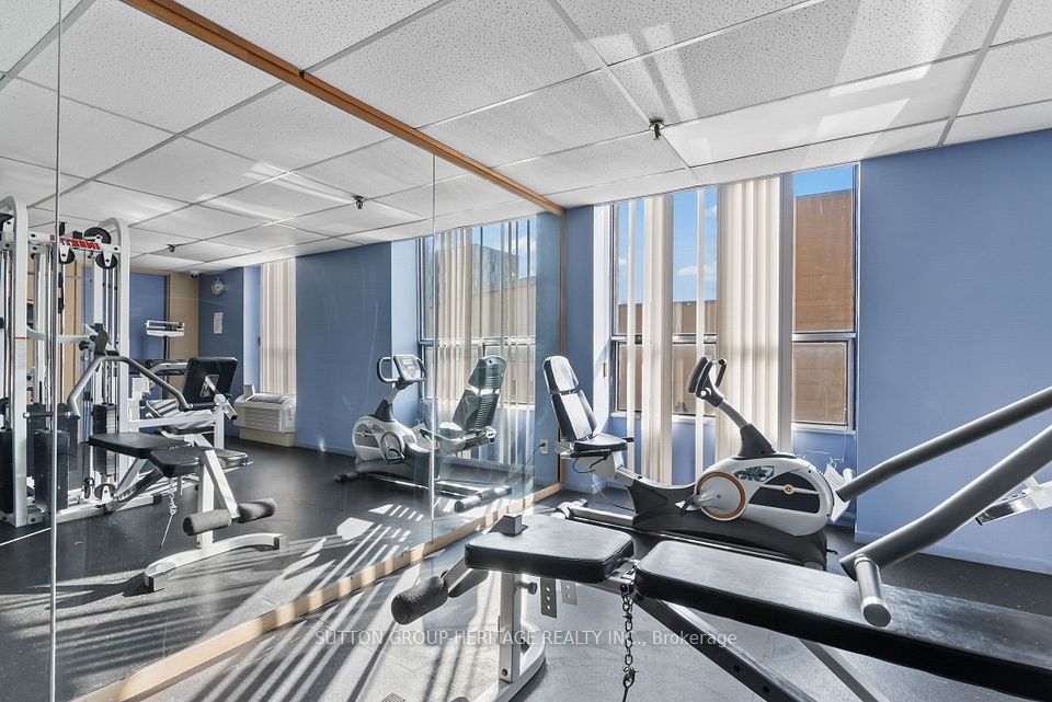 Benches, Bike & Treadmill