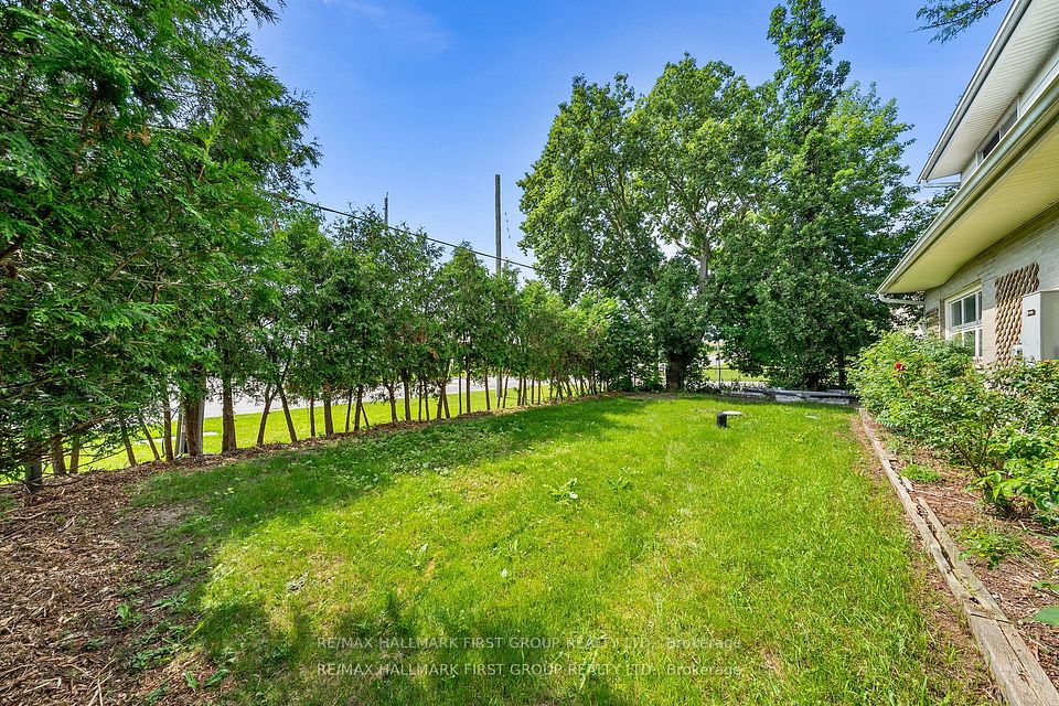 Rear Yard