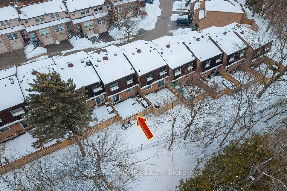 No Neighbours Behind You