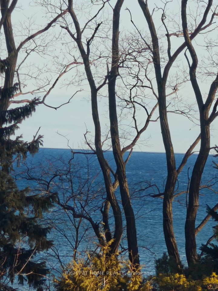 E12851952/E12851952-36.jpg
