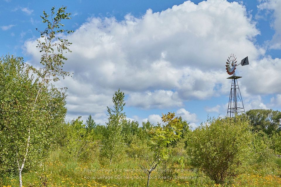 E12900230/E12900230-11.jpg