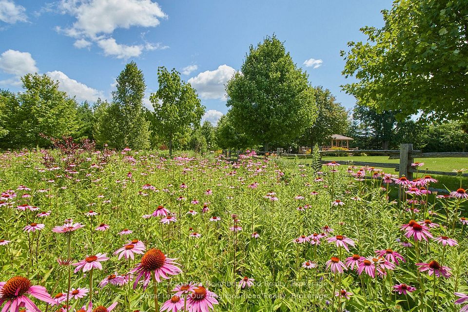 E12900230/E12900230-24.jpg