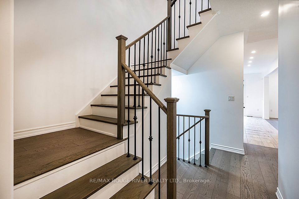 E12954146/E12954146-4.jpg