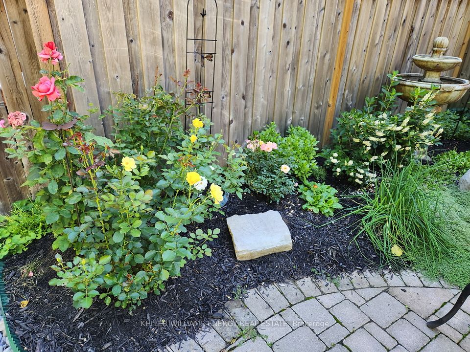 E12964102/E12964102-39.jpg