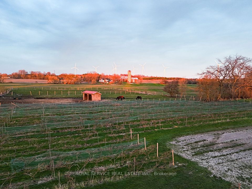Aertial view of some of the vineyards and paddocks