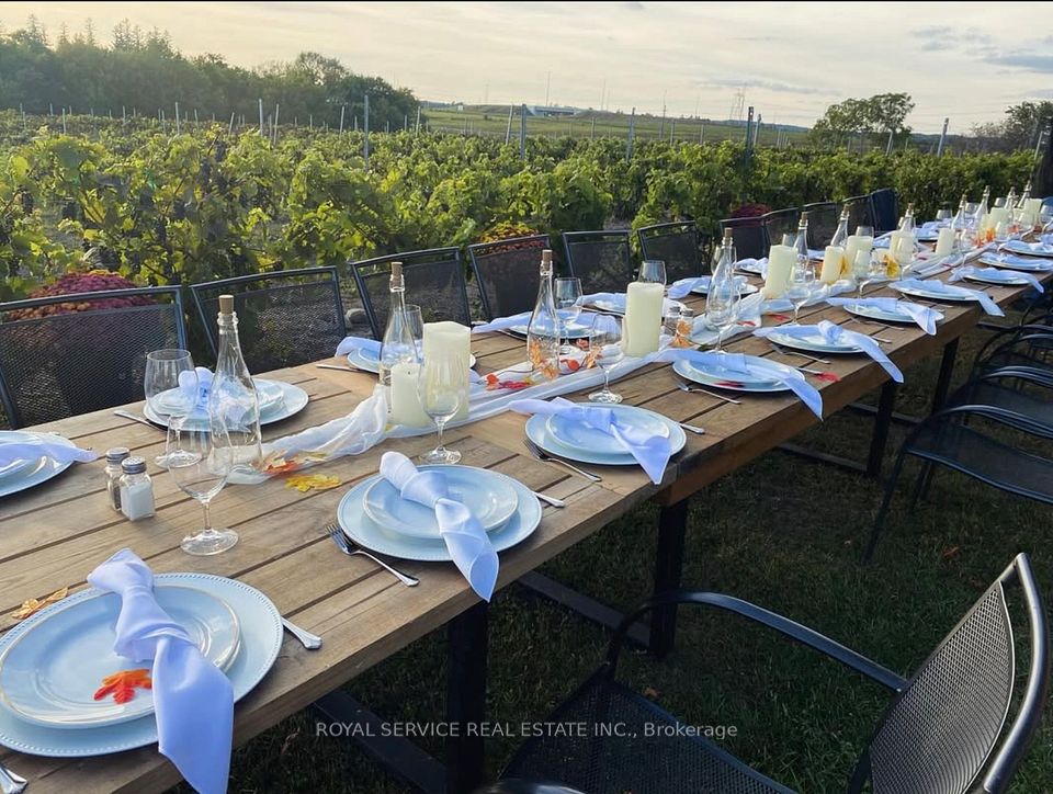 Table set up in the vineyard, ready for its guests