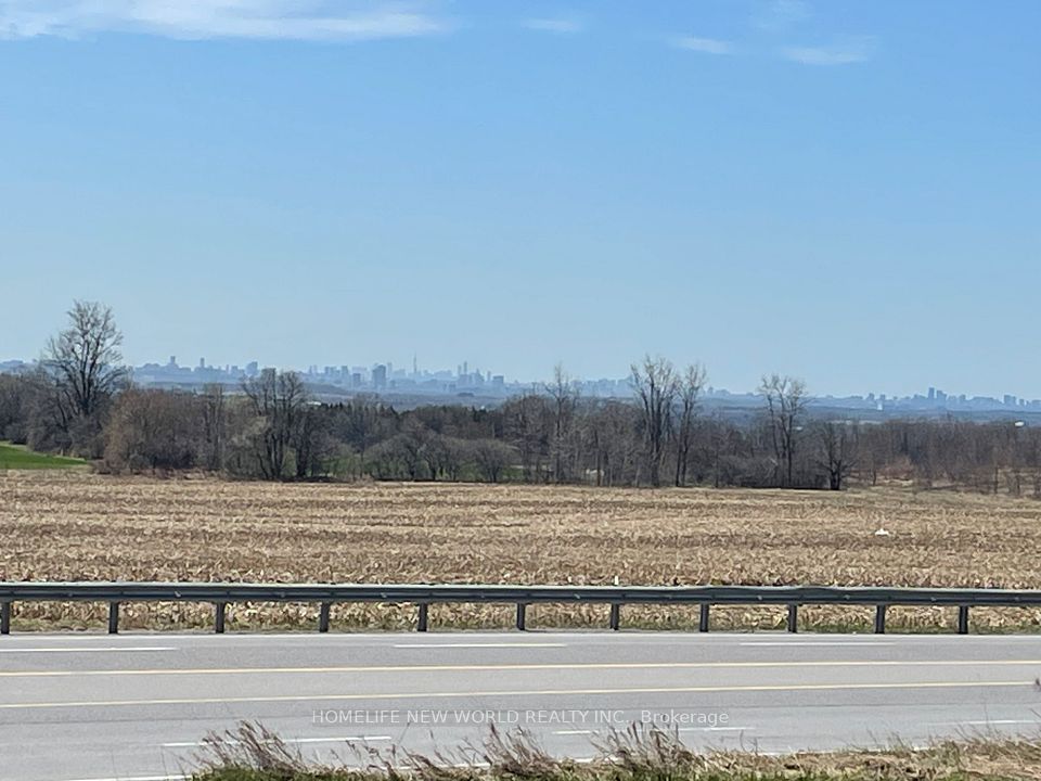 Downtown Toronto View