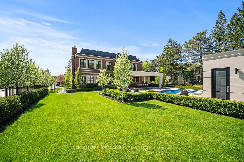 Backyard Green Space