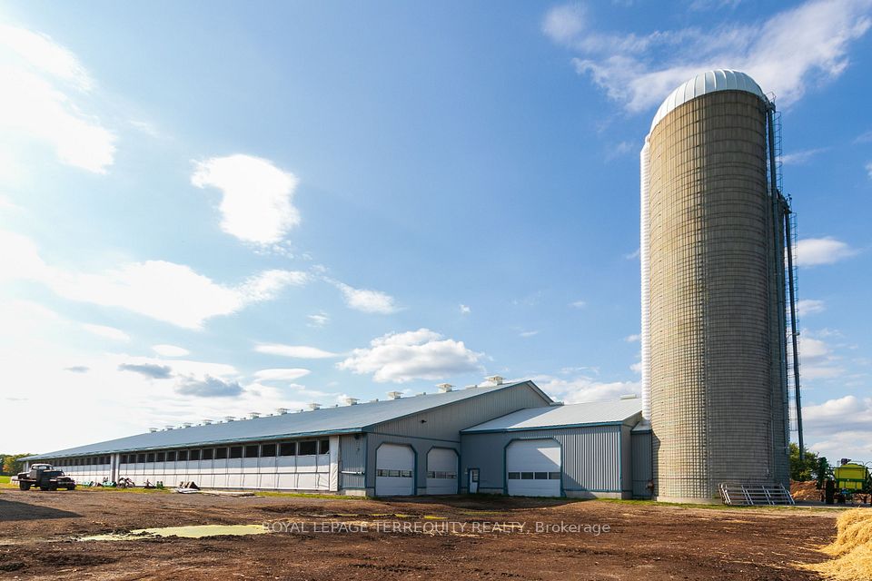 Working Dairy Farm with 3 Silos