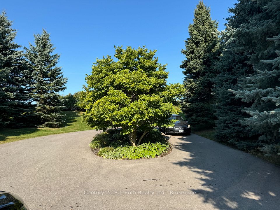 Large Circular Driveway