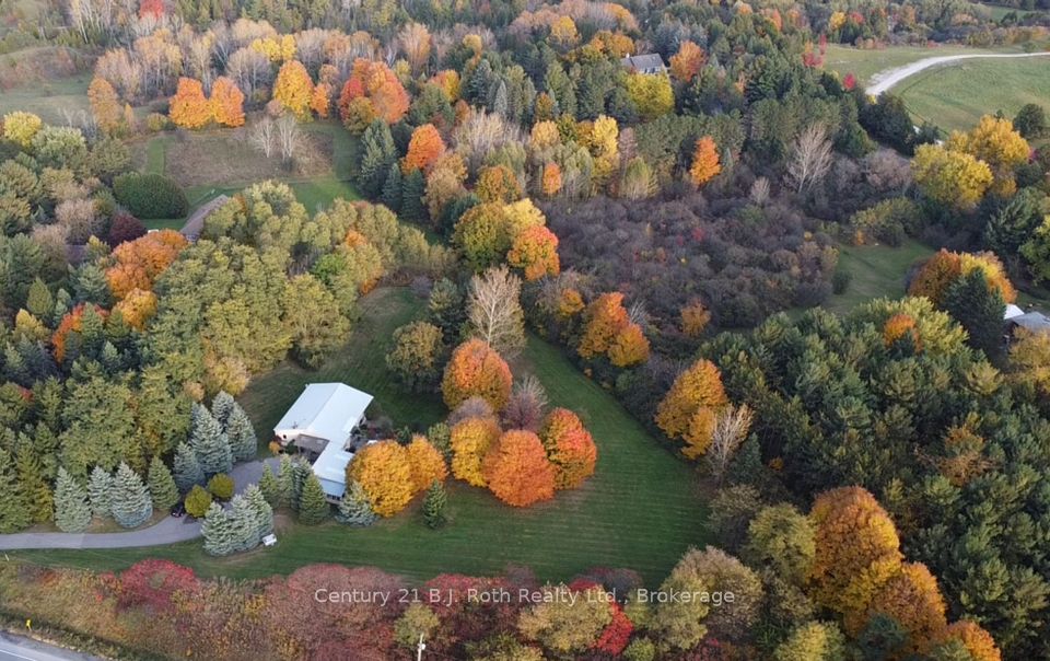 Gorgeous Fall Foliage