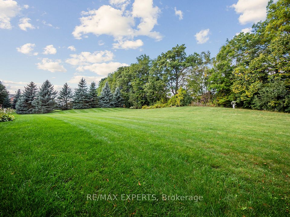 Picturesque Green Grass Grounds!  Enjoy!