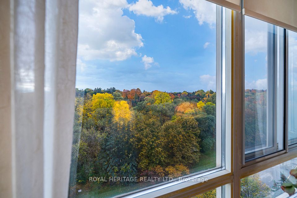 View from Livingroom