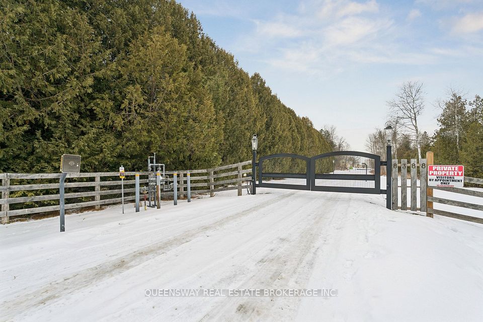 N12698030/N12698030-4.jpg