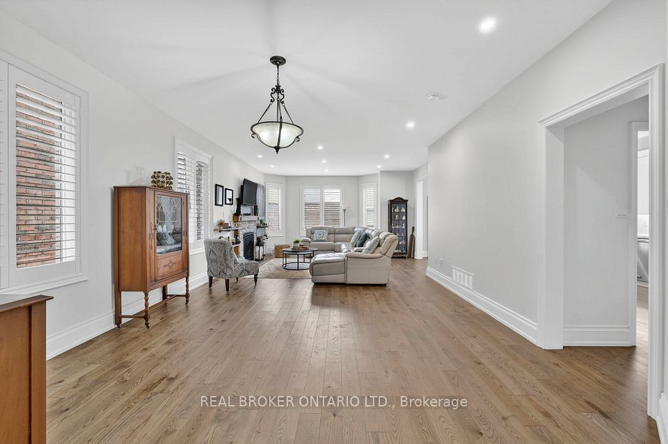 Dining & Living Area Combined