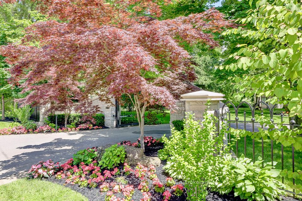 W11971617/W11971617-9.jpg.