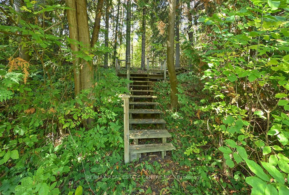 Pathways Through Nature