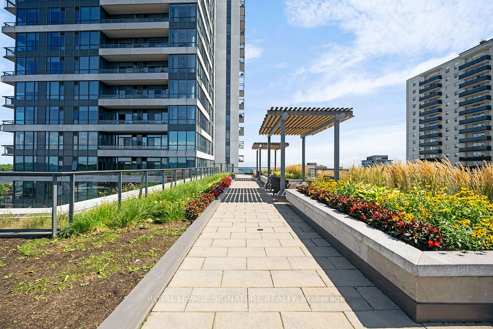 Roof Top Lounge//Gardens