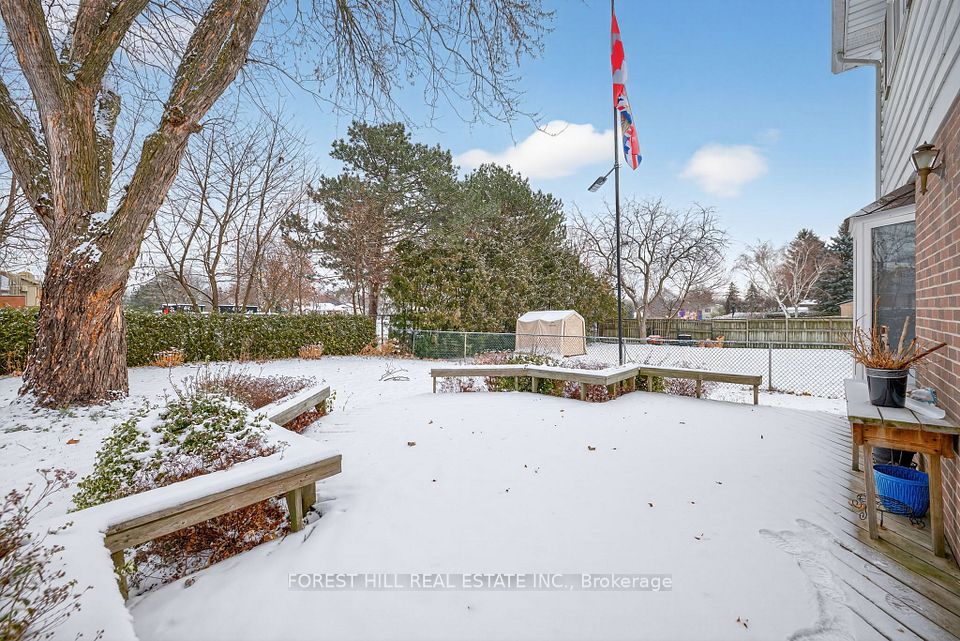 yard backs to quiet area of school